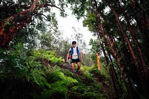 BIB: 
                            <button type="button" onclick="openModal(26201877)" class="btn btn-primary btn-sm float-right btn-popup" data-toggle="modal" data-target=".modal-high-quality">
                        <i class="fas fa-shopping-cart"></i> Add to Cart
                    </button>
                                            <button type="button" onclick="isThisMe(26201877, true)" class="btn btn-success btn-sm float-right btn-popup btn-isme hidden" data-toggle="tooltip" data-placement="bottom" title="นี่คือรูปของคุณใช่ไหม คลิกที่นี่เพื่อเอาเข้าอัลบั้ม">
                        <i class="fas fa-plus"></i> Add to album
                    </button>
                    <button type="button" onclick="isThisMe(26201877, false)" class="btn btn-warning btn-sm float-right btn-popup btn-isnotme hidden">
                        <i class="fas fa-ban"></i> Remove from album
                    </button>